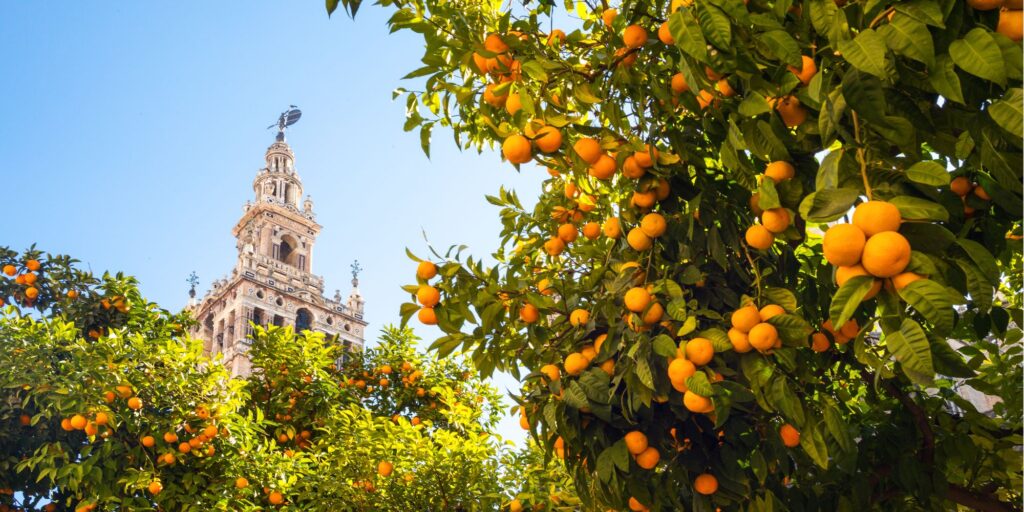 Órigo Viagens Especializada no Turismo à Europa - ANDALUZIA