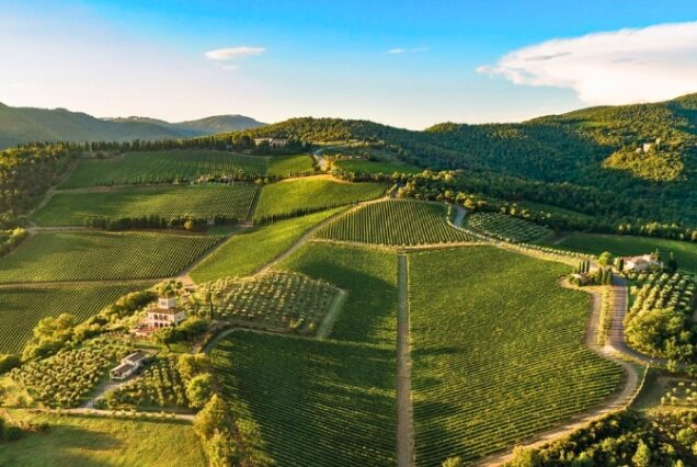 Castello di Albola - Toscana - Itália