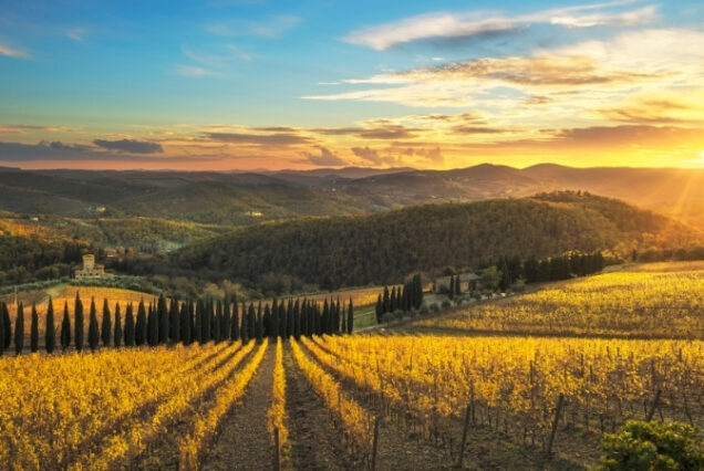 Região do Chianti - Itália