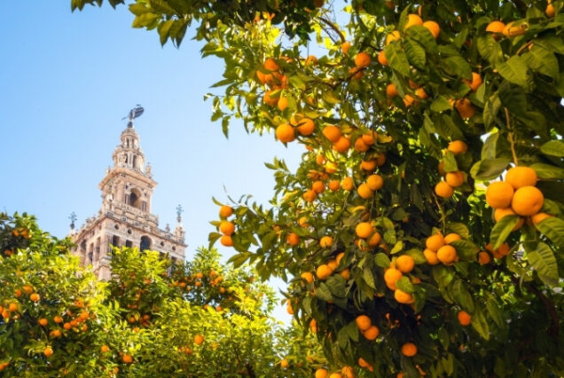 Sevilha - Espanha