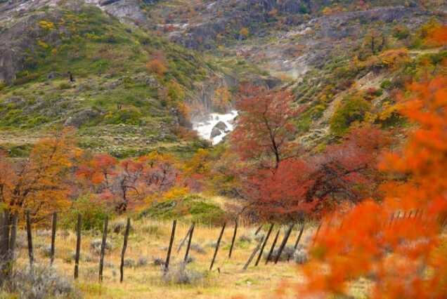 El Calafate - Argentina