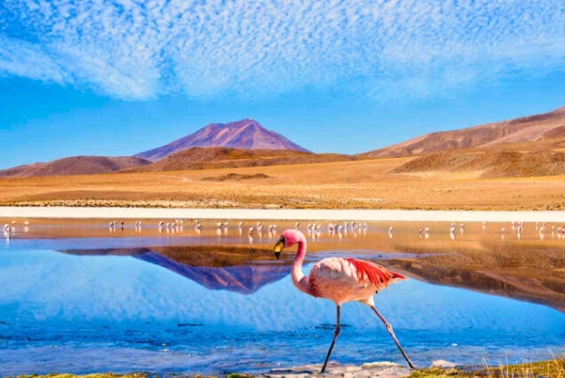 San Pedro do Atacama - Chile