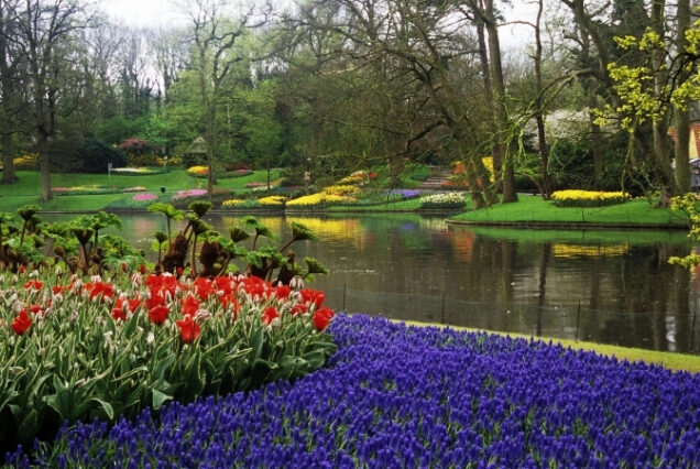 Parque Keukenhof - Holanda