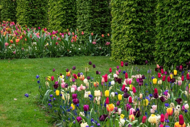 Parque Keukenhof - Holanda