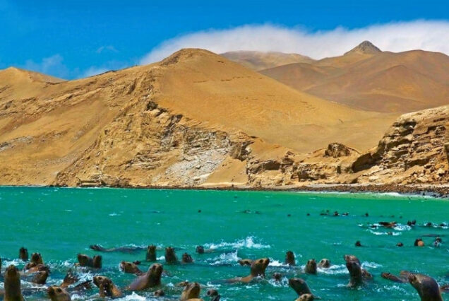 Paracas - Peru