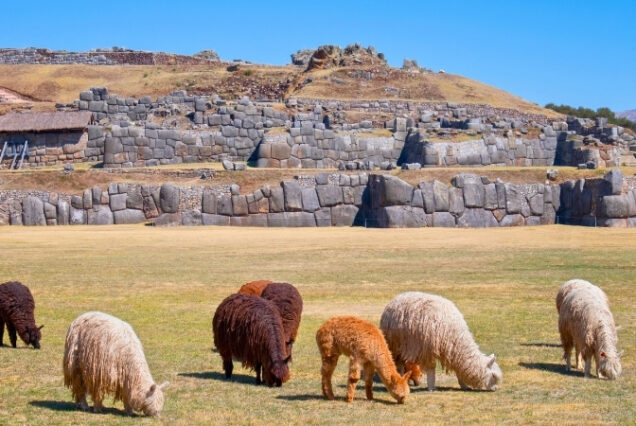Cusco - Peru