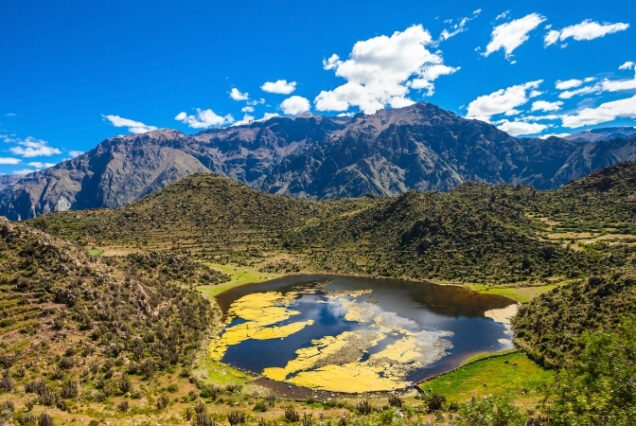 Colca - Peru