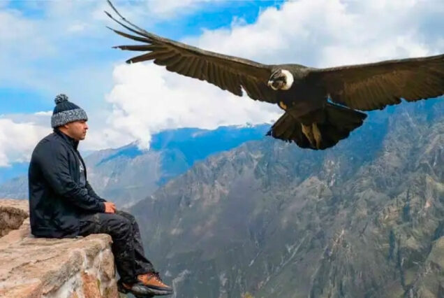 Colca - Peru