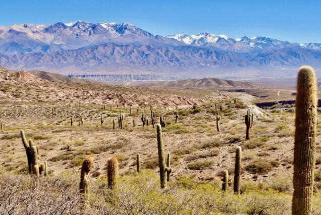 Cachi - Argentina