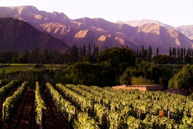 Cafayate - Argentina