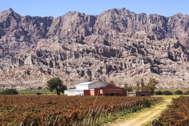 Cafayate - Argentina