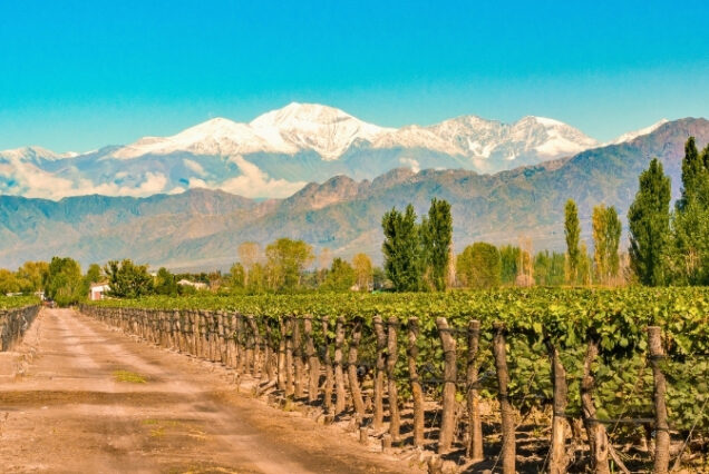 Mendoza - Argentina