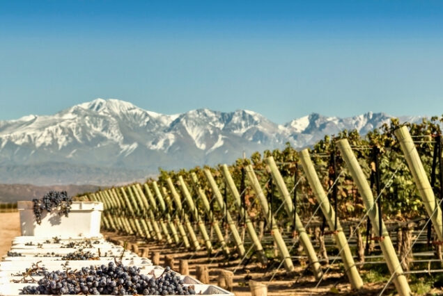Mendoza - Argentina