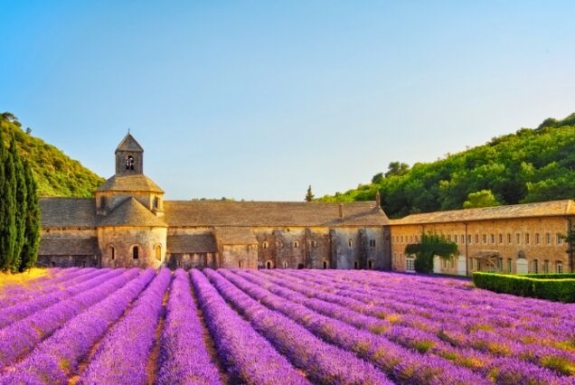 Valensole - França