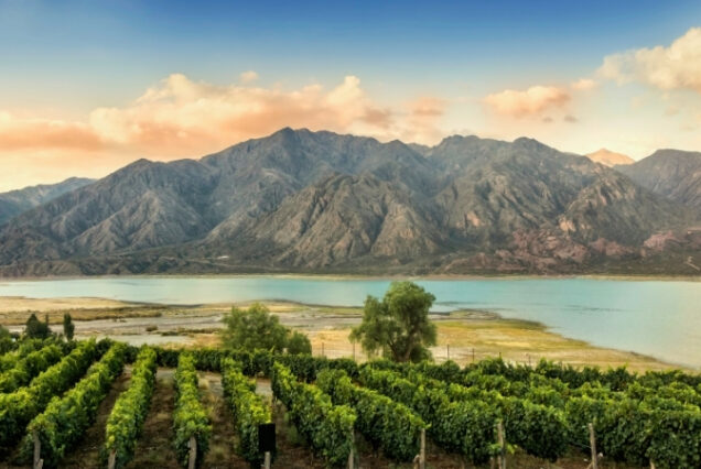Mendoza - Argentina
