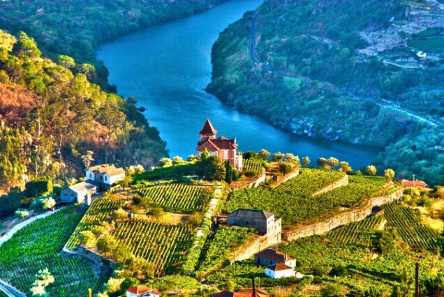 Vale do Douro - Portugal