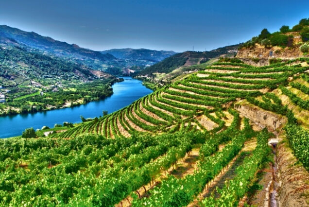 Vale do Douro - Portugal