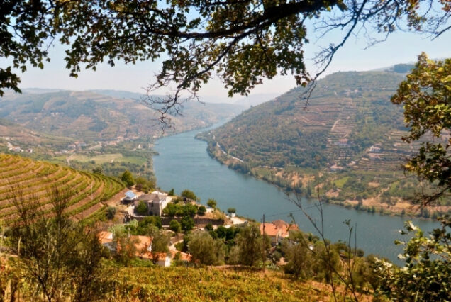 Vale do Douro - Portugal
