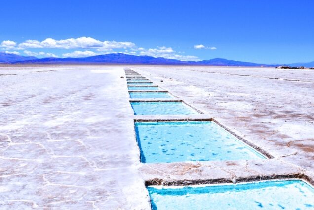 Salta - Salinas - Argentina