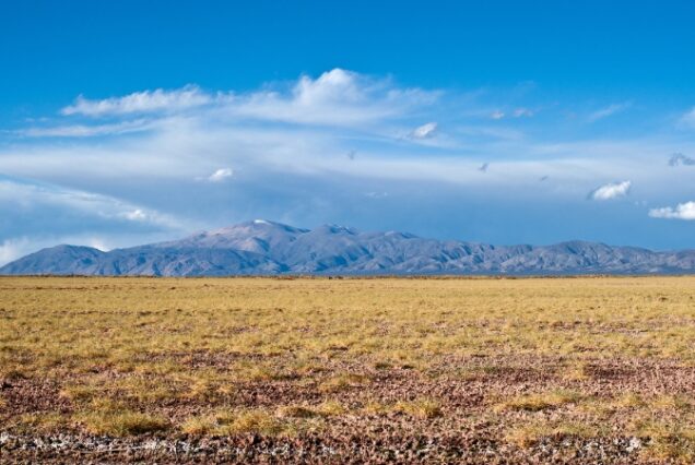 Salta - Salinas - Argentina