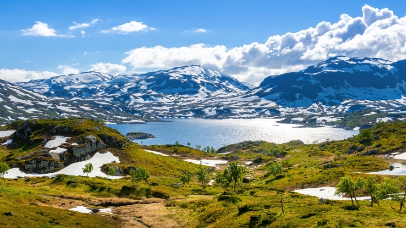 Planalto Hardangervidda - Noruega