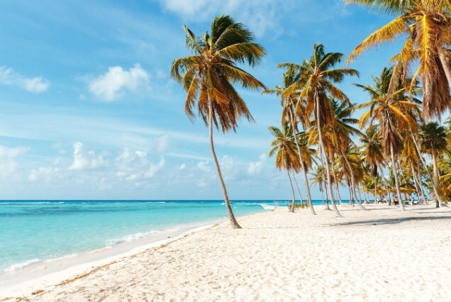 MSC Seascape - Caribe